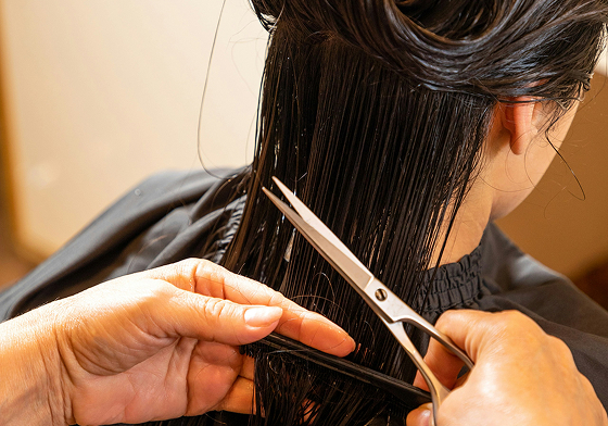 A stylist trimming a client’s hair in a salon